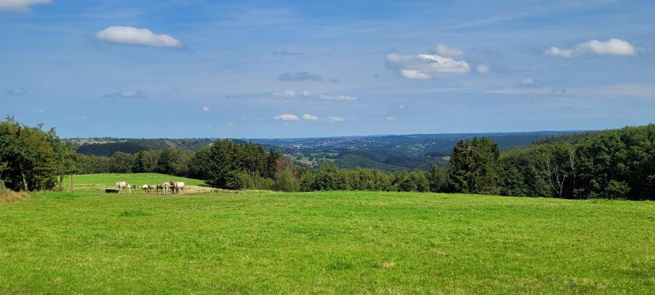 Gite De Trasenster Trooz Bagian luar foto
